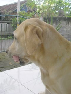 �C���t���Ɓc