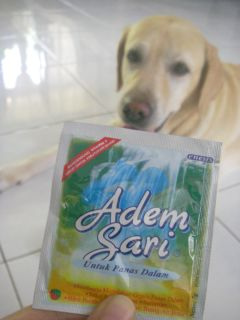 Adem Sari�i�A�_�� �T���j