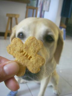 3���̂��܂��܂���`��