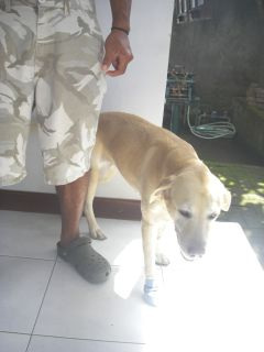 �Ł`���`�`�`�I�ł��`�`�I�I�I