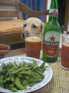 �r���^���r�[���ƃg�}�g�W���[�X