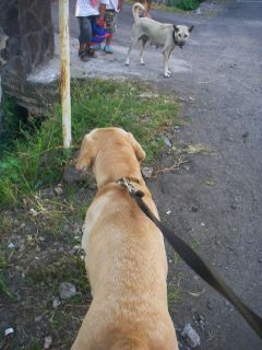 �����B���F�B�`��