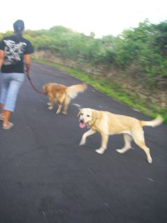 �L�L����񂾁`��