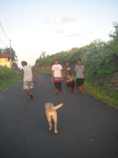 �P�`���b�_���T�[