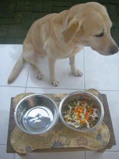 Makan pagi(͂j